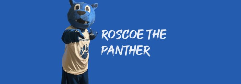 Roscoe the Panther